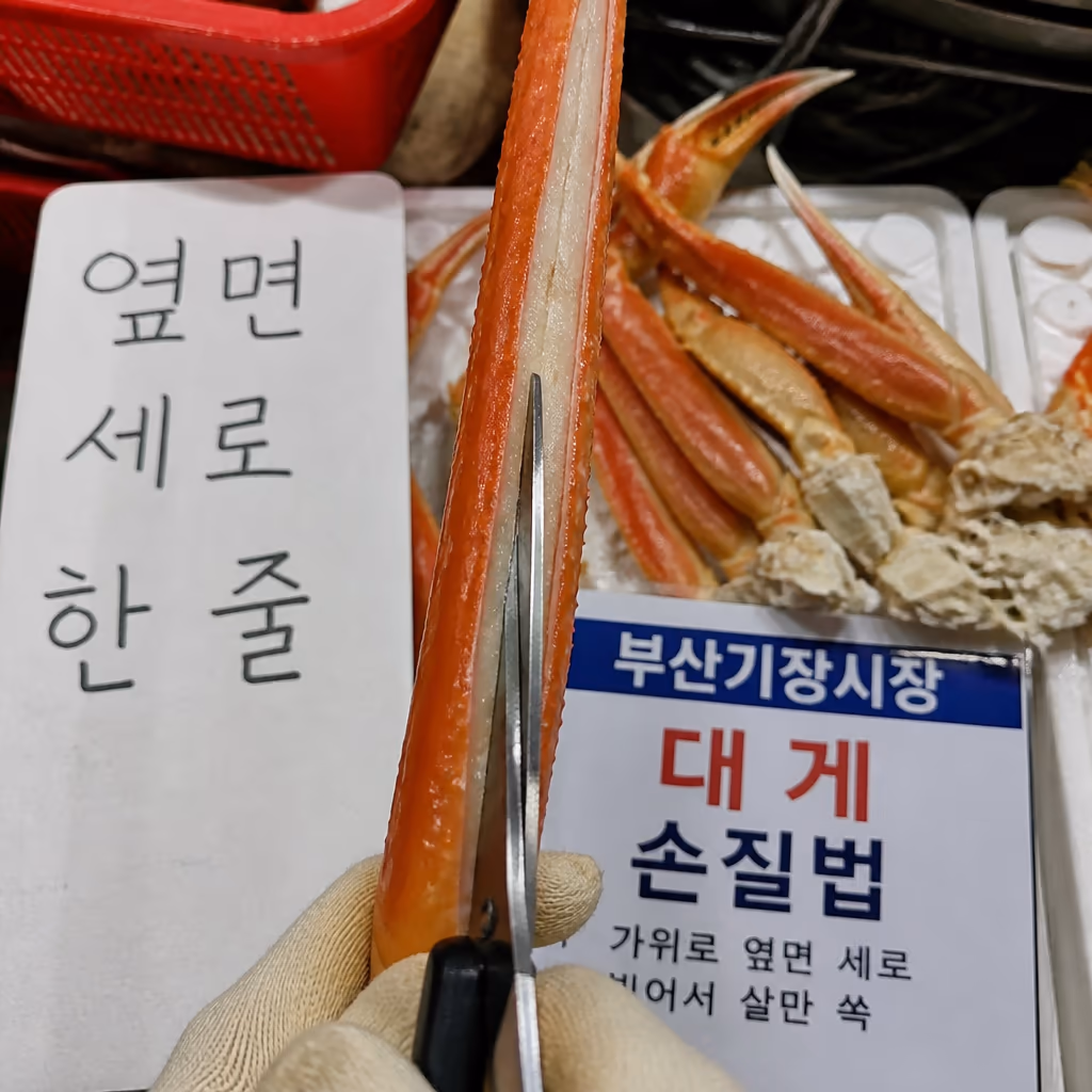 대게 다리살 빼는법 — 가위 옆면 한 줄·관절 꺾기·빨대 기법, 25년차 사장이 매일 시범 보이는 3단계 — 현장 사진 1, 기장 청해왕대게 25년차 활어상 정영진 대표 촬영