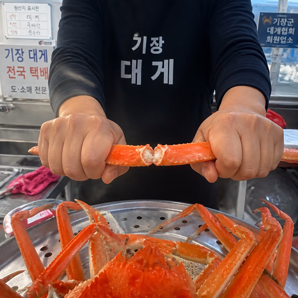 대게 다리살 빼는법 — 가위 옆면 한 줄·관절 꺾기·빨대 기법, 25년차 사장이 매일 시범 보이는 3단계 — 현장 사진 4, 기장 청해왕대게 25년차 활어상 정영진 대표 촬영