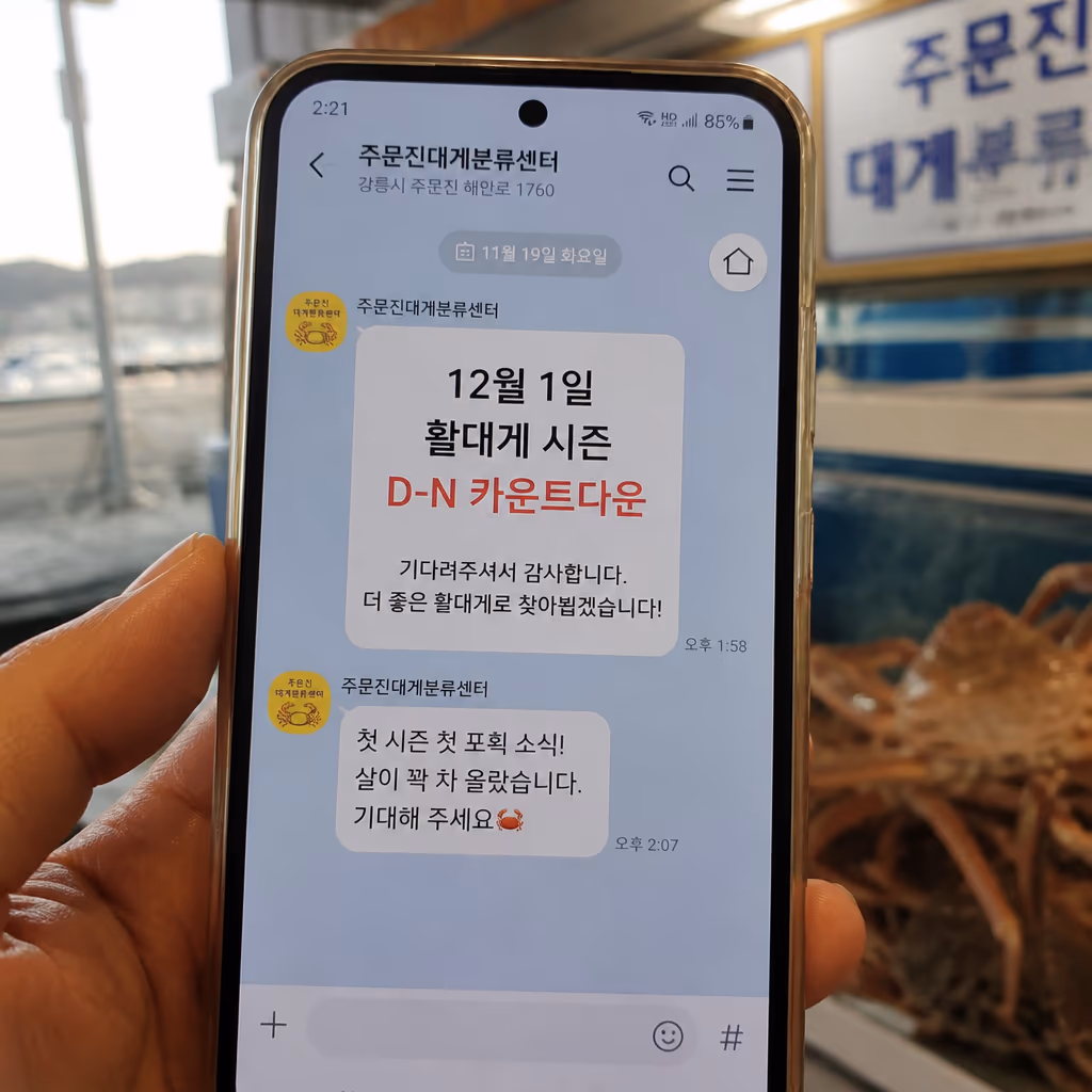 대게 금어기 · 6.1~11.30 룰과 12월 1일 시즌 시작 카운트다운, 해양수산부 고시 기준 — 갤러리 3, 기장 청해왕대게 현장 사진