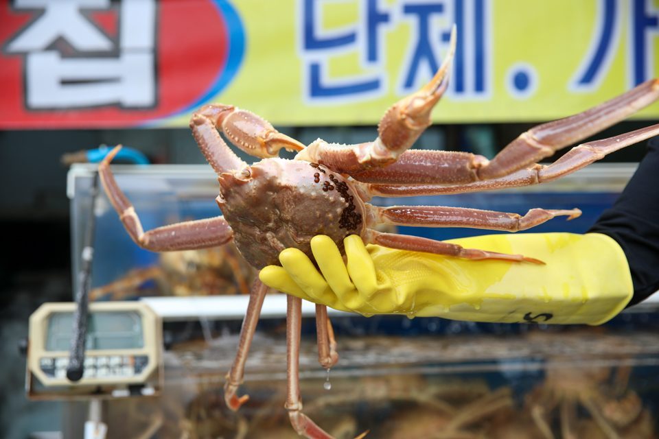 들어서자마자 마주하는 활어 수조, 물살이 도는 수조 앞 통로