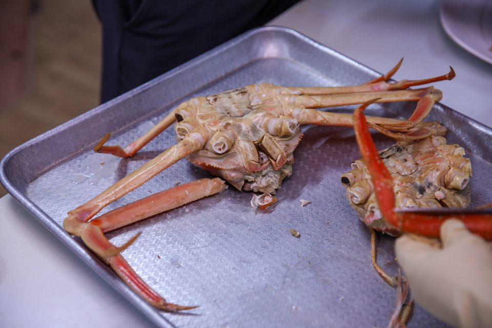 A close look at the leg length and body size of a snow crab before cleaning