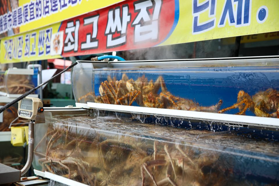 가게 앞 수조에 활대게가 층층이 들어 있고 물이 흐르는 진열대