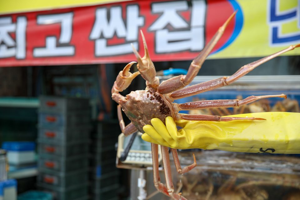 면발 사이로 대게 다리가 솟은 라면 그릇