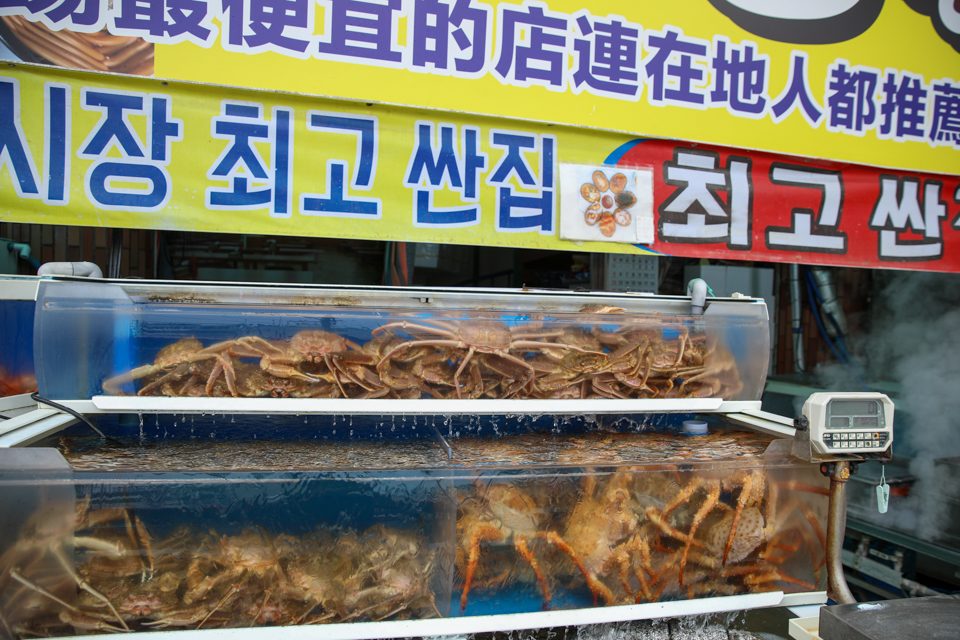 대게 다리 올린 라면이 상 끝자리에 오른 장면